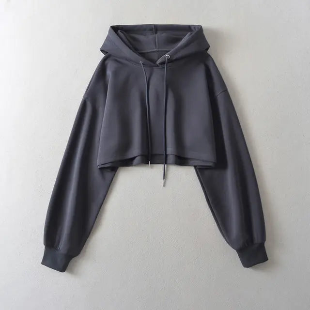 Women's 2023 Autumn Drawstring Hooded Pullover Sweater